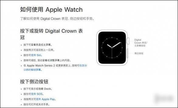 可能秋季发布 新一代Apple Watch曝光：侧键不可按压