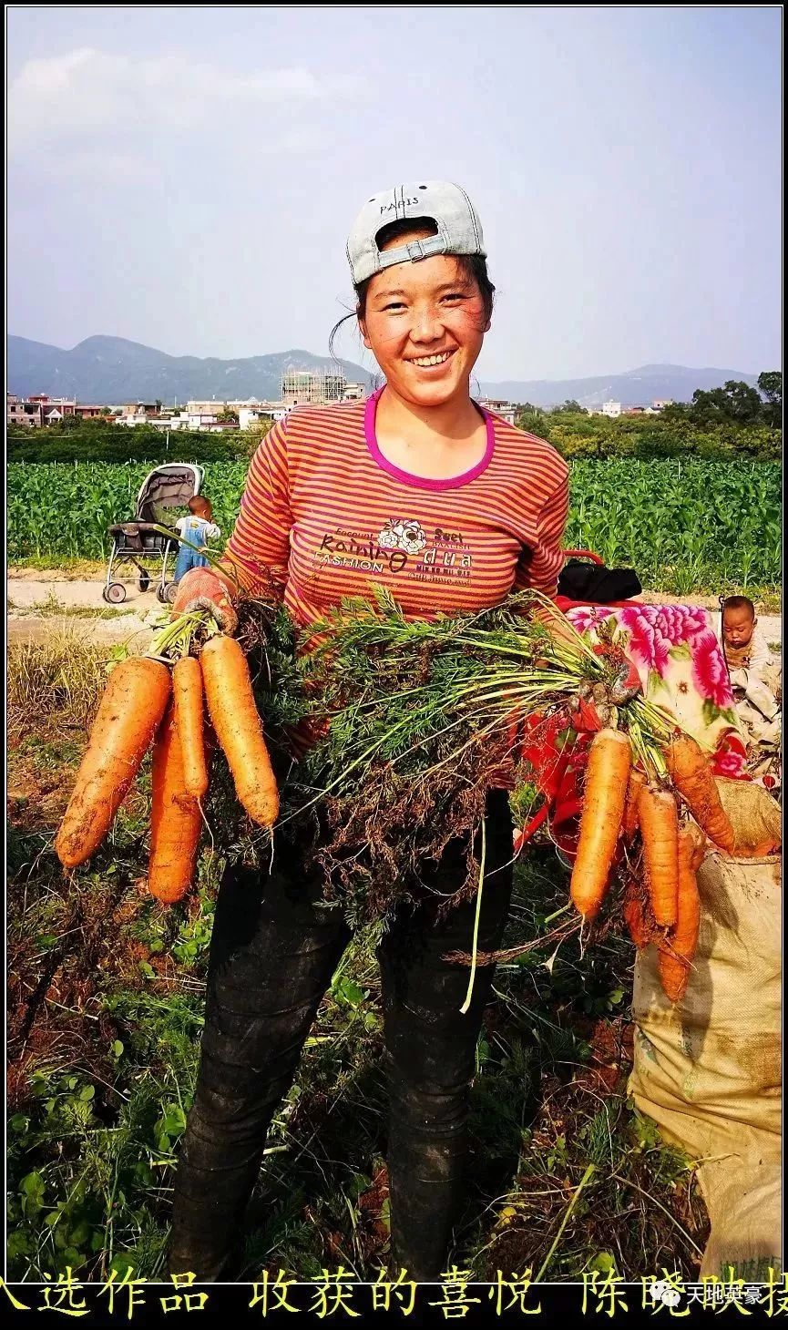 同安五显镇镇长图片