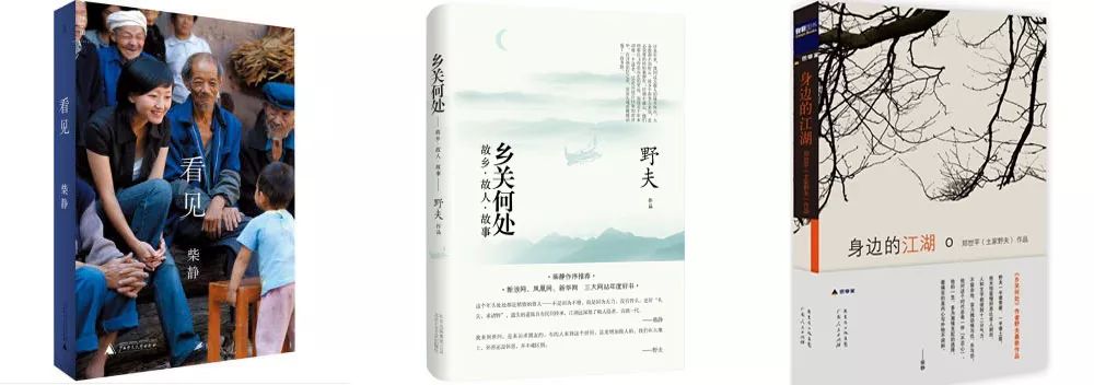 从左至右分别是柴静的《看见,野夫的《乡关何处《身边的江湖》