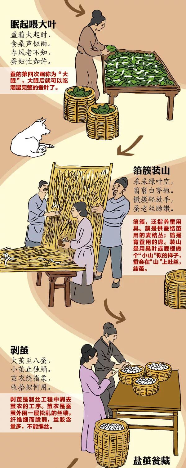 中国古人如何养蚕织绸 