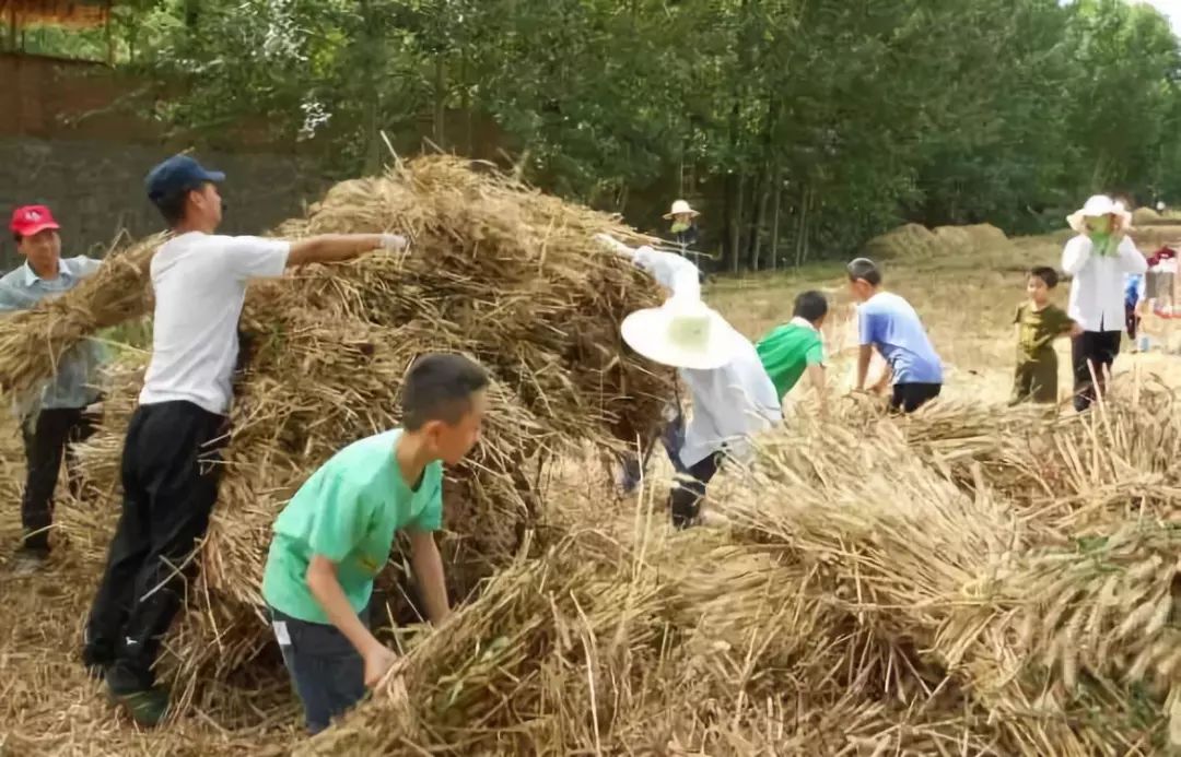 打麦场怎么做图片