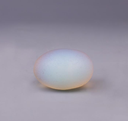 真正的欧泊蛋是图片图片