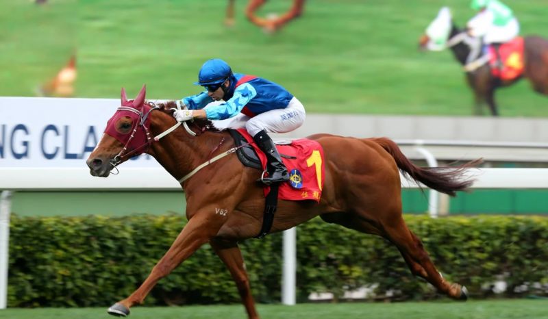 到港後立即為香港賽馬帶來大震撼,莫雷拉在此後的幾乎所有主要賽事中