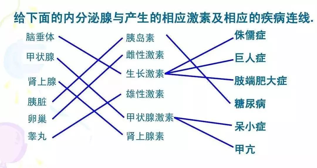 週末乾貨〡男女有別搗鬼的激素也有別