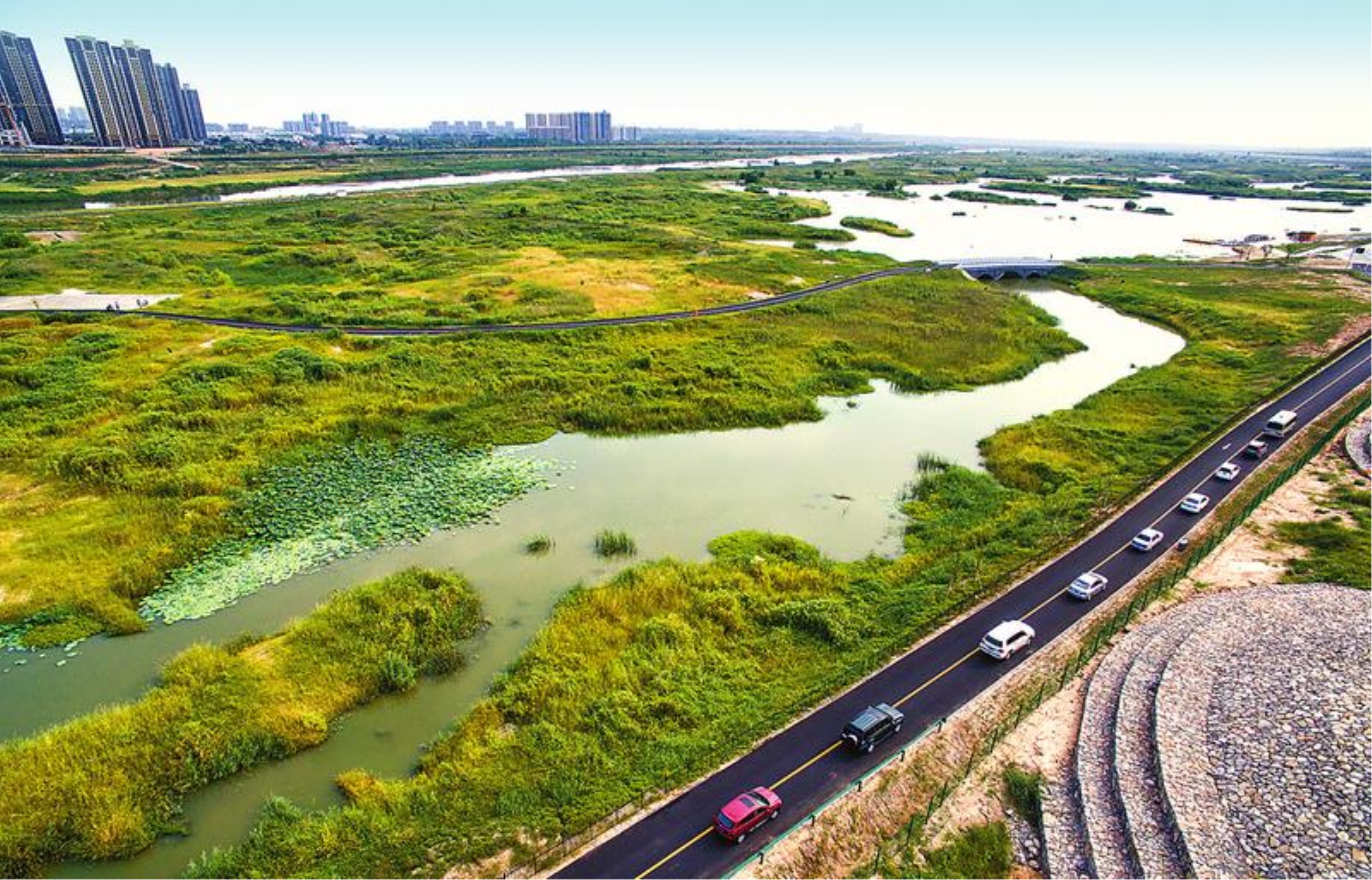 渭南湿地公园图片