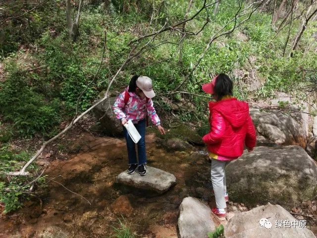 午饭后出发,还没上路大家就被水杉的气生根吸引了