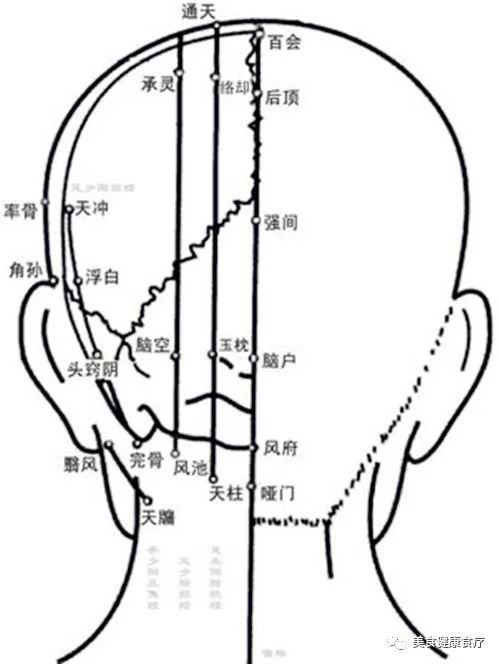 头顶点位置图片图片