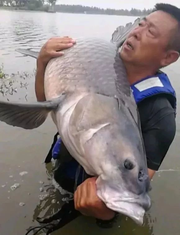 体育频道据悉李大毛老师在息县坚守了两天赶紧戳进来看看吧激动人心的