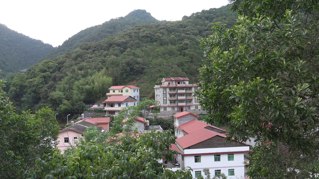 北溪村坐落于永春县岵山镇西南部.是一个只有几百人的行政村,幅员3.