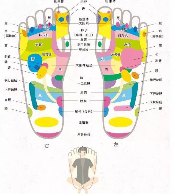 小轩窗正梳妆全身按摩手法让肌肉酸痛说拜拜