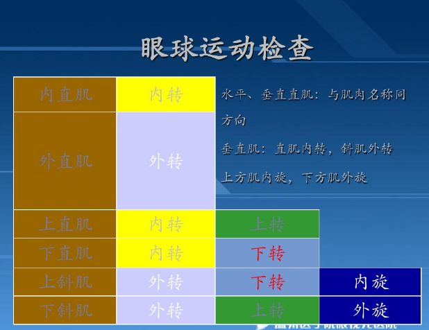 复视像检查图的解析ppt图片