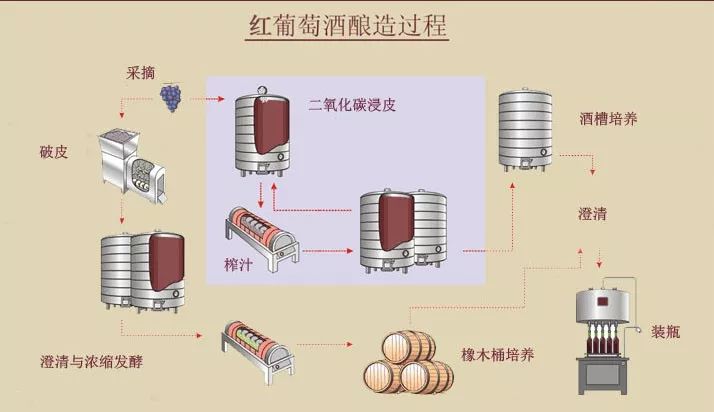 最完整版的红葡萄酒酿造全过程附高清实景图