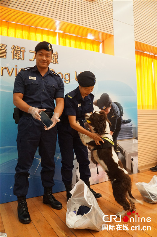 世界杯临近 香港特区政府惩教署加强反赌博行动