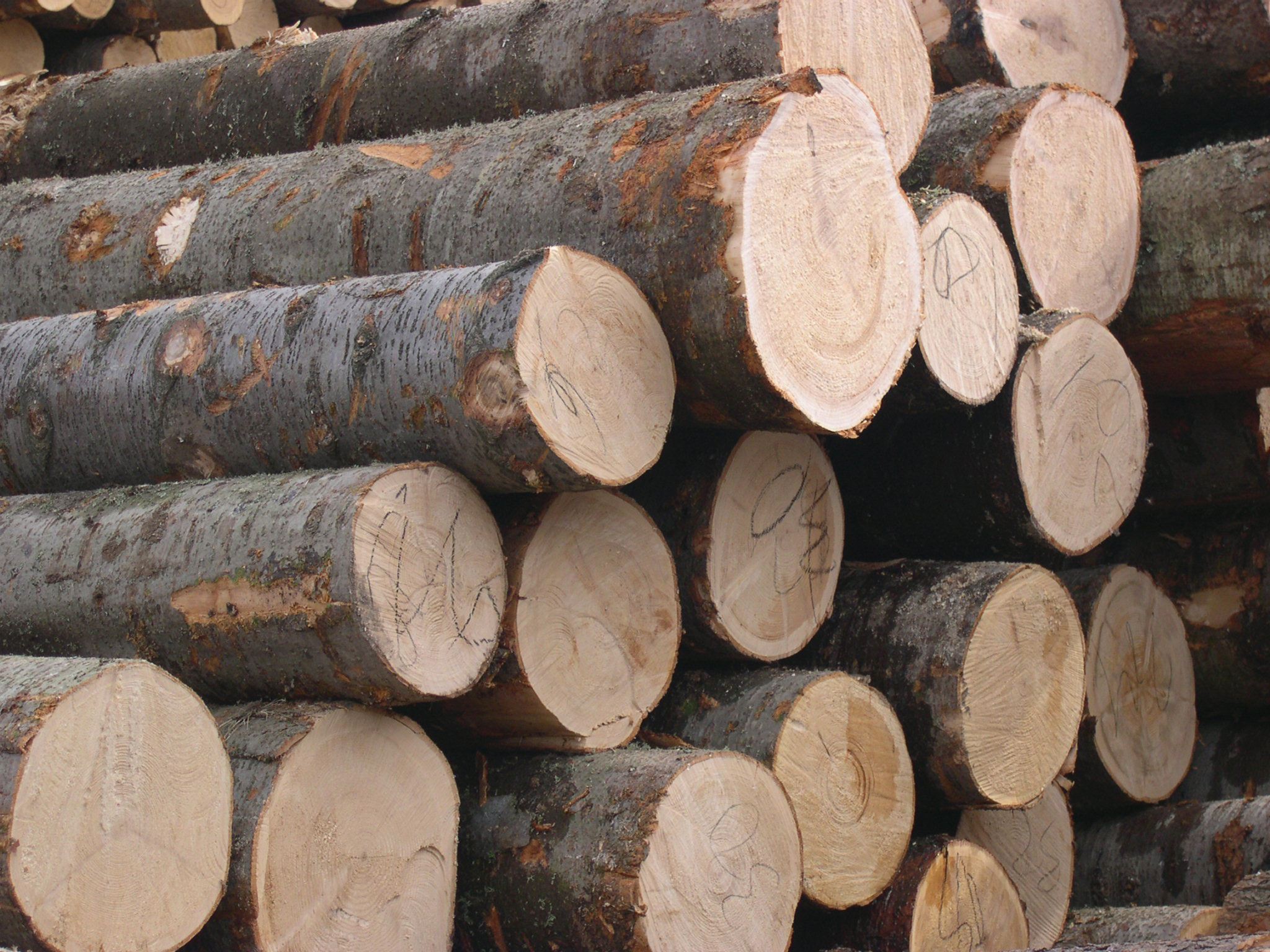 法国成为中国橡木原木的第二大供应商