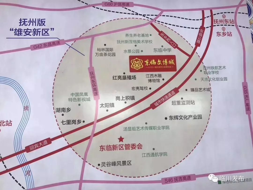 东临新区地图图片