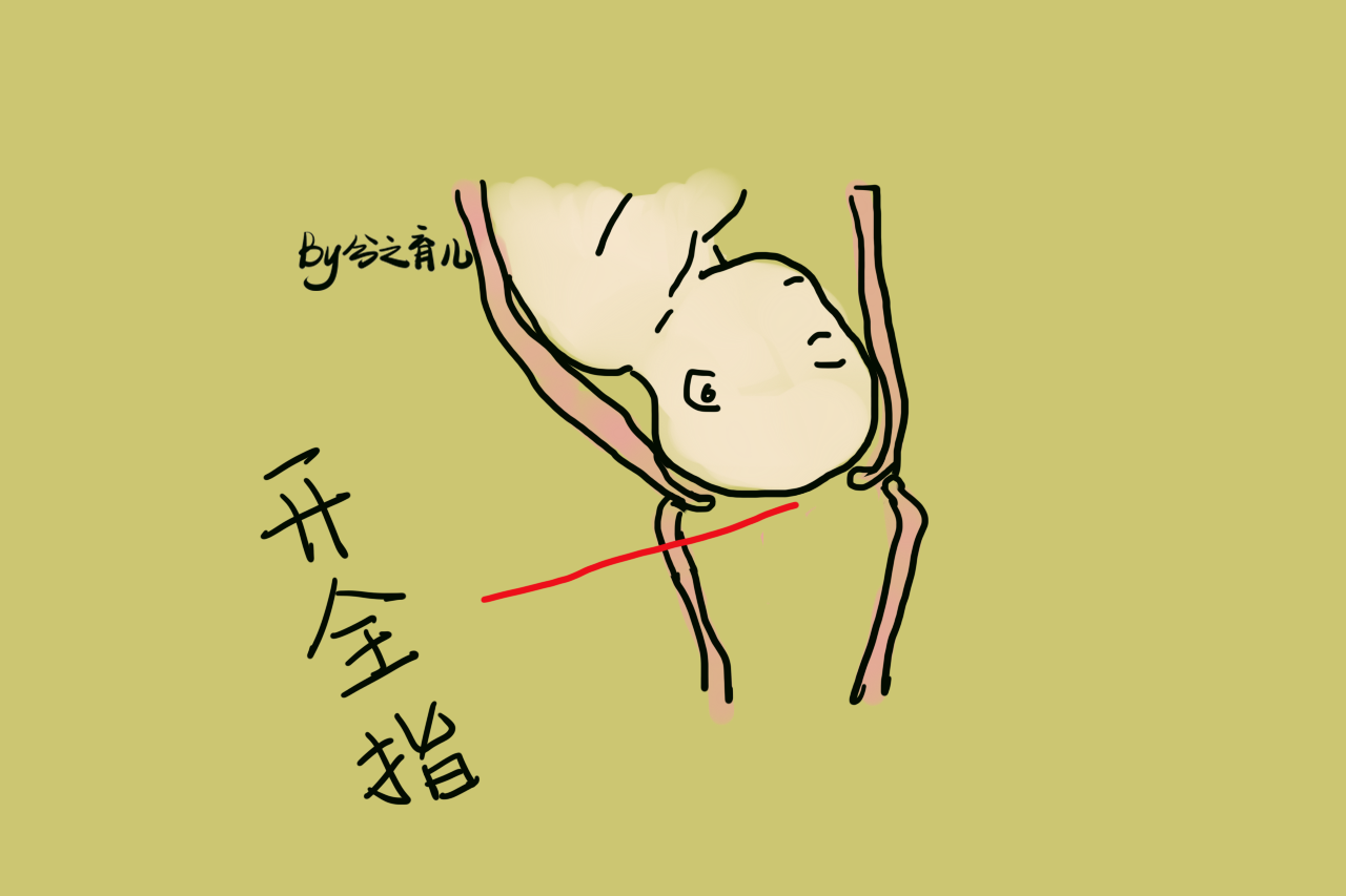 宫口开十指图片图片