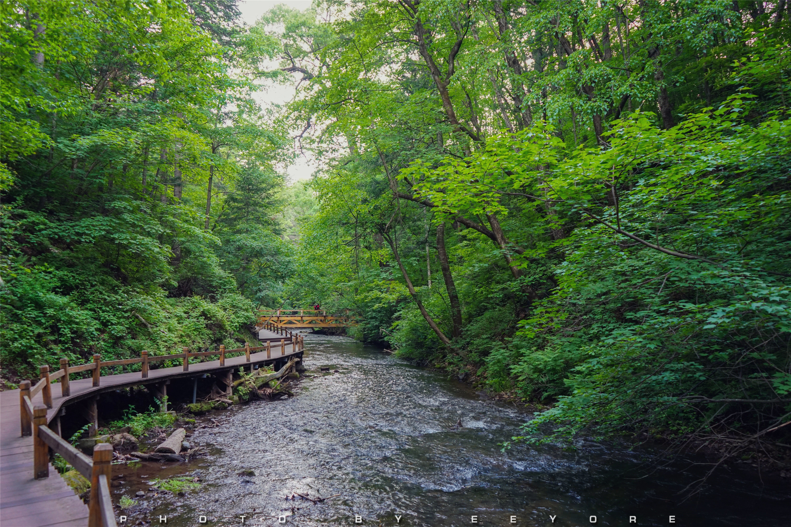 三角龙湾吊水壶风景区图片