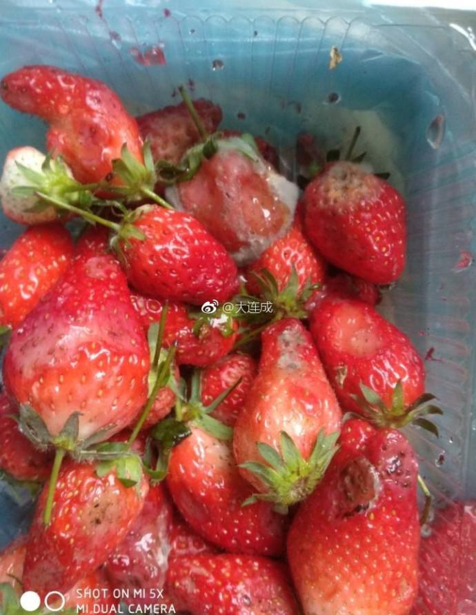 从照片中可以看到,草莓已经发白变质,形状怪异,无法食用