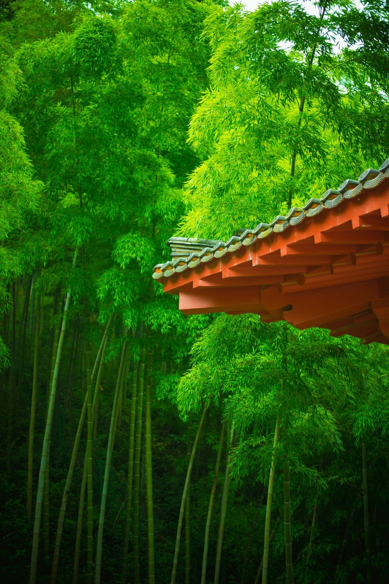 宜黄县风景名胜区图片