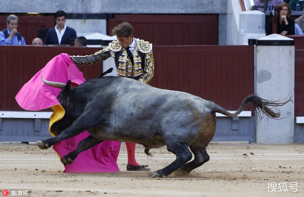 懵了!西班牙斗牛赛:斗牛士被公牛抢走斗篷