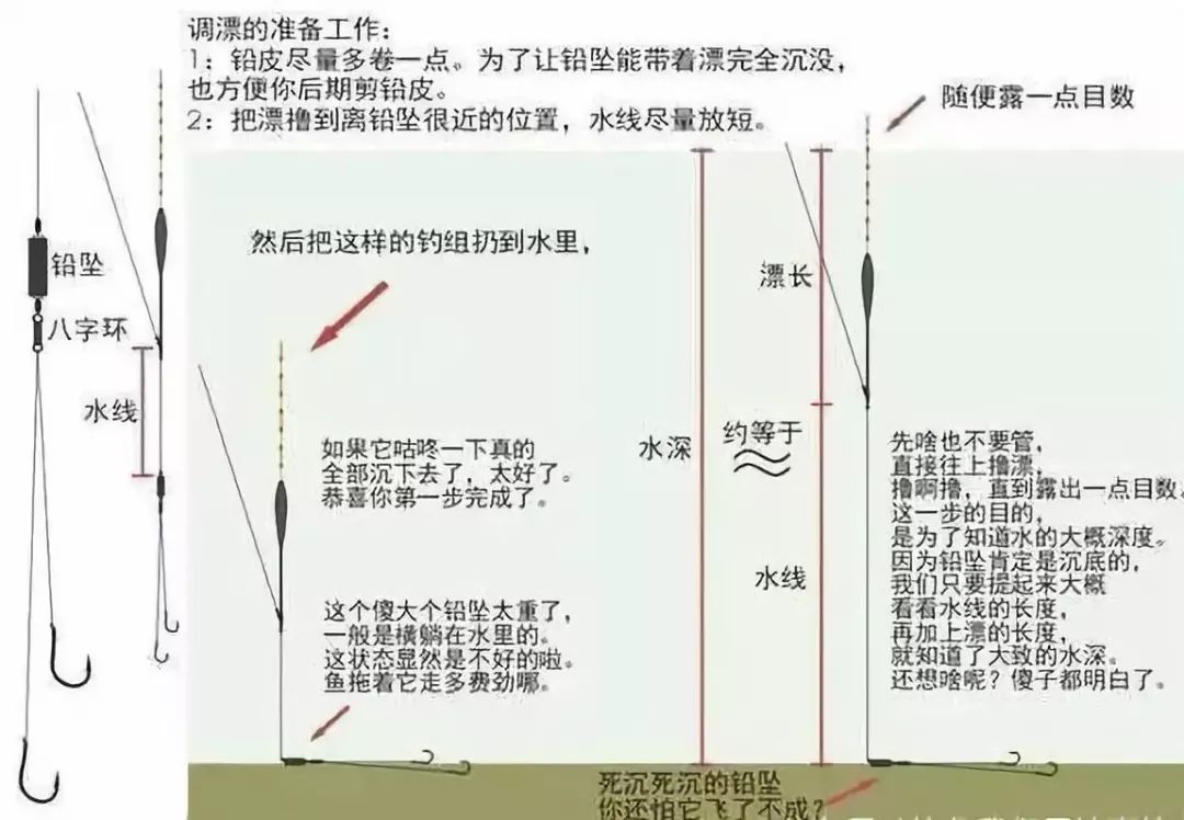 红虫简谱_小红虫图片