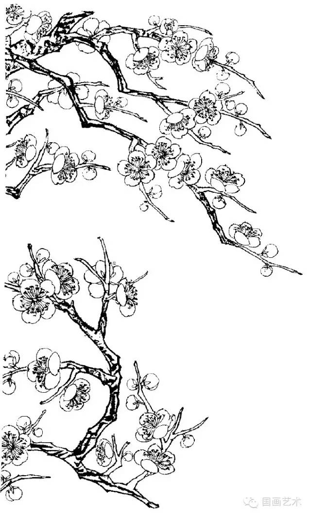 梅花图片大全手绘(梅花图片大全手绘 简笔画)