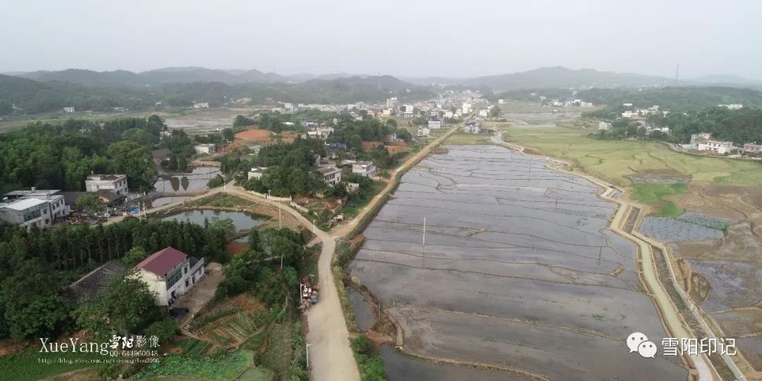 隐山,名龙山,或龙王山,海拔437米,巍然屹立在湘潭县西南边陲之排头乡