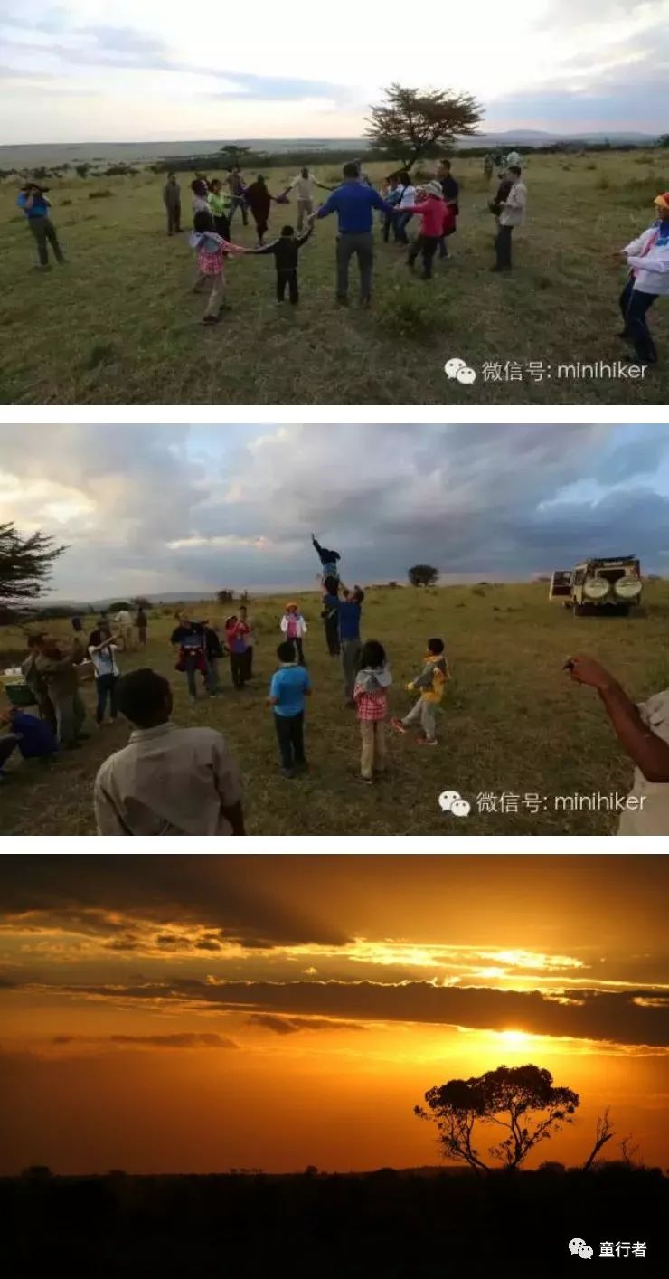 暑期丨跟隨《國家地理》紀錄片,追蹤動物大遷徙!