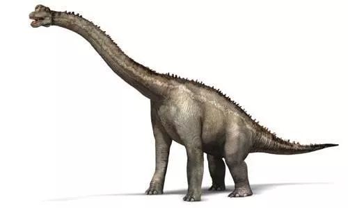 【端午节快乐】《侏罗纪世界2》霸气回归 恐龙粉强势围观不再干傻事