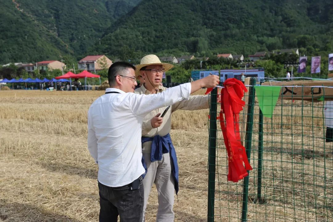 第一届关中忙罢艺术节在石井镇蔡家坡成功举办