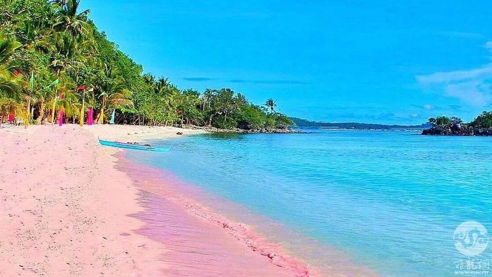梦幻粉色沙滩菲律宾竟然还有这种仙地