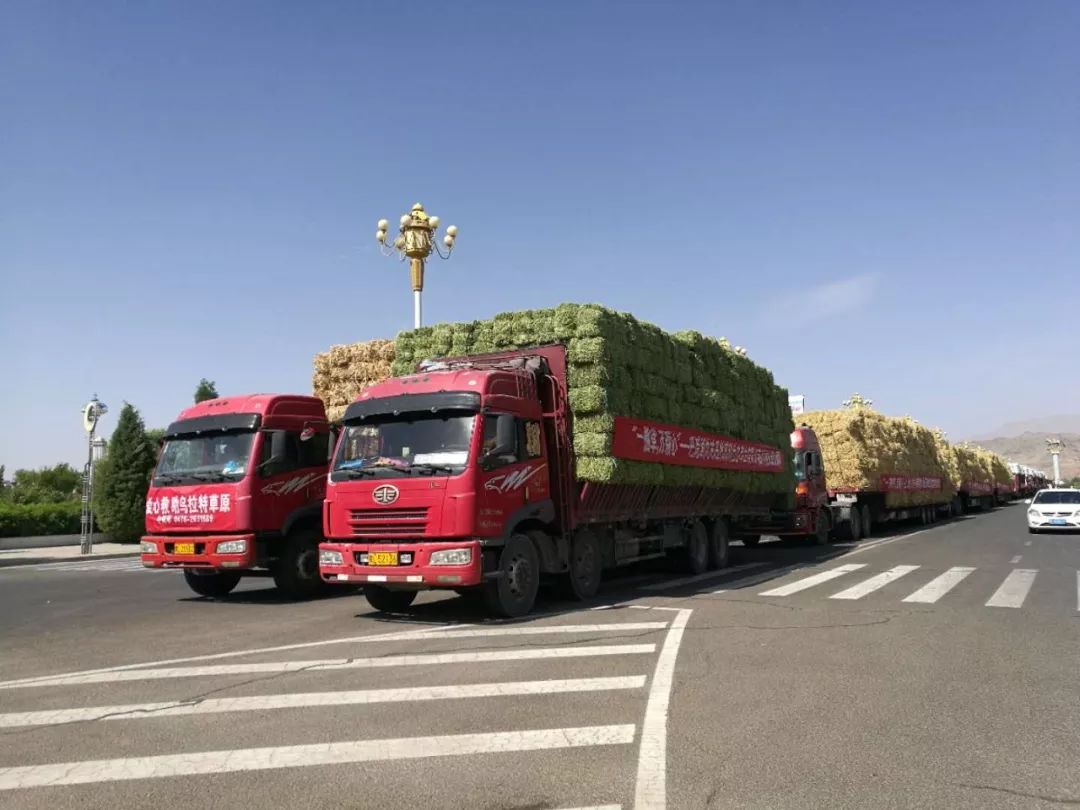 内蒙新闻最美车队草料卡车驰向干旱的乌拉特草原