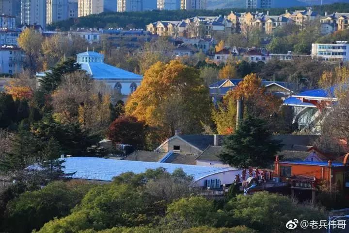 區紅旗西路 交通路線:乘坐709或者是705路公交車,到金家溝下車 旅順