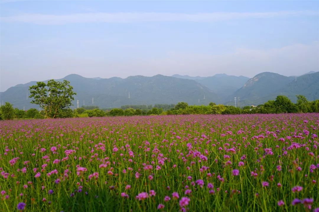 富陽新地標!這片