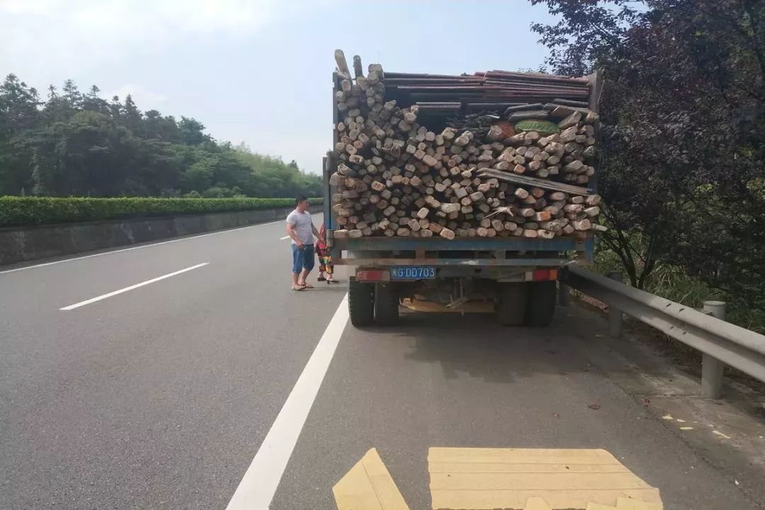 有的甚至鋌而走險,不惜橫穿高速公路,在應急車道違停採李子,給道路