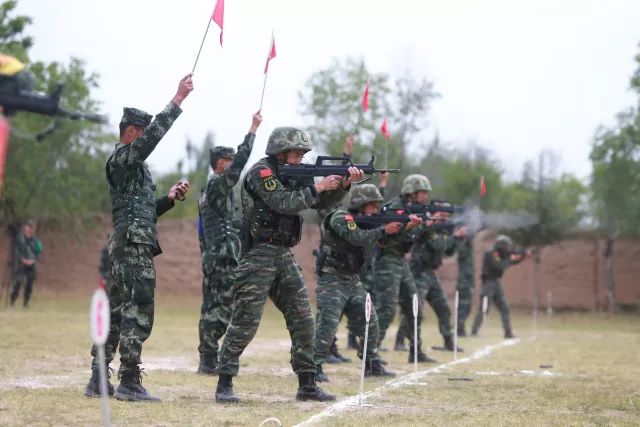 武警沙狐突击队图片