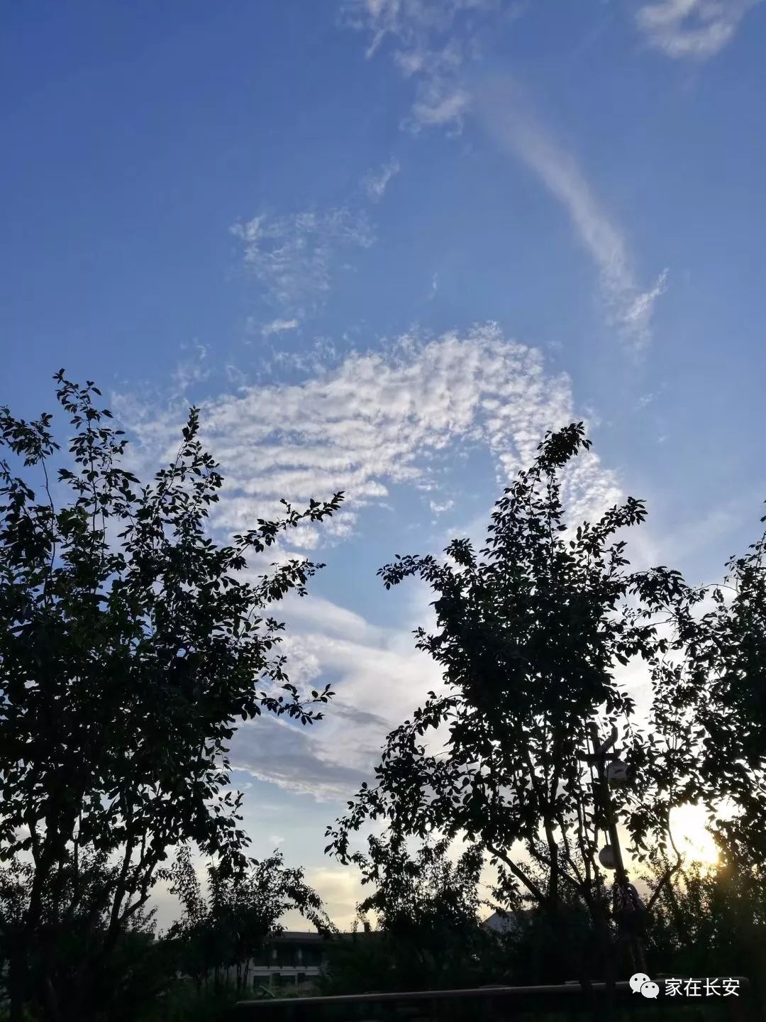 今天長安經歷了藍天白雲,晴空萬里 ,突暴風雨後彩虹乍現!