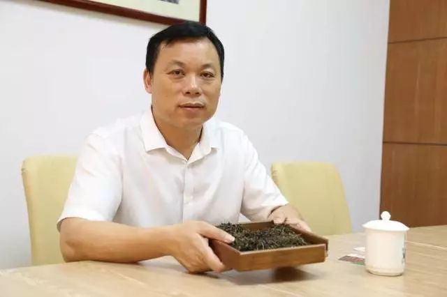 鹤山市副市长陈文:发展鹤山红茶产业助推乡村振兴