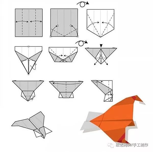 小学生纸飞机制作过程图片