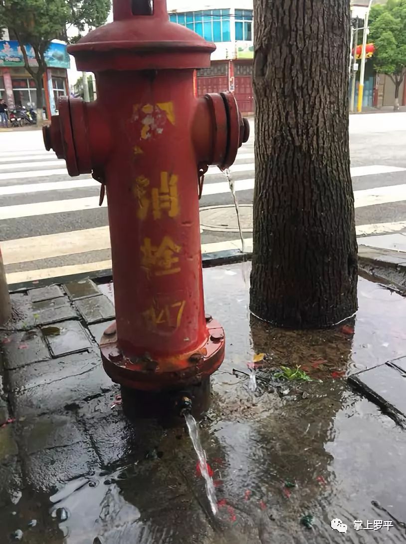 西關街消防栓漏水,白白流了很心痛