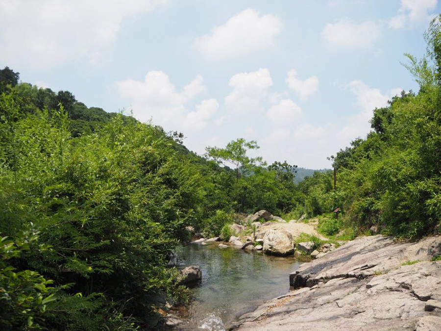 16上林湖栲栳山古道環線徒步,品鳴鶴古鎮千年韻味