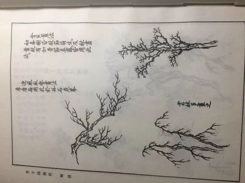 含苞画法芥子园图片