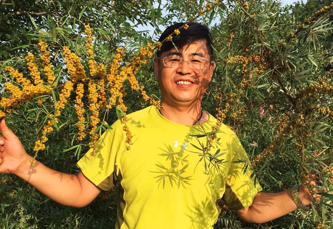 产地食材来自荒漠地区的最美味的天然维生素野生沙棘果