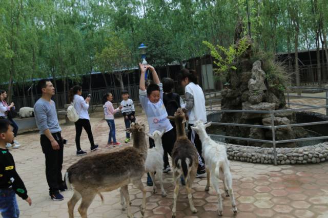 曬不黑的水上樂園免費送五龍山響水河野生動物園歡樂世界馬戰大型表演