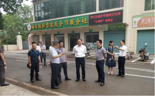 罗江区环境治理流动现场会暨"大调研"现场会在蟠龙召开