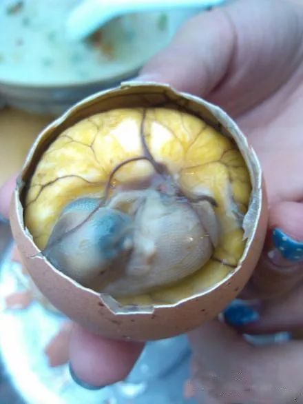 死胎蛋照射的图片图片