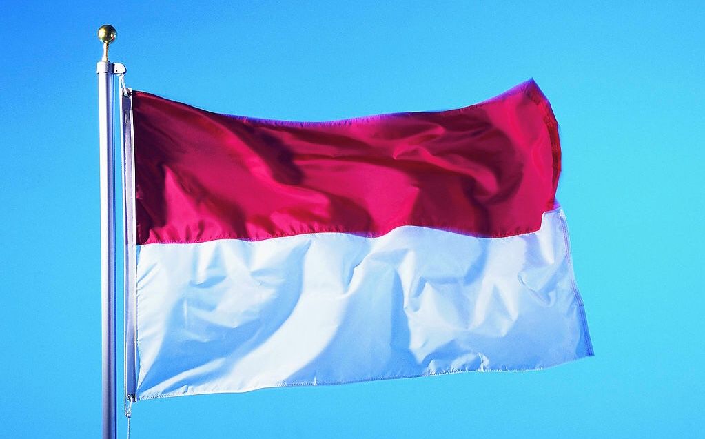 印度尼西亚国旗南非国旗安哥拉国旗早在2016年,包括国内200多位前驻外