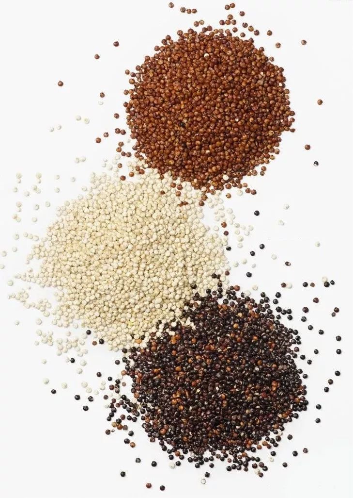 红色和黑色系藜麦其实是藜麦种子的外皮颜色,将种皮去掉后,胚乳胚芽等