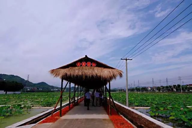 新登镇上山村图片