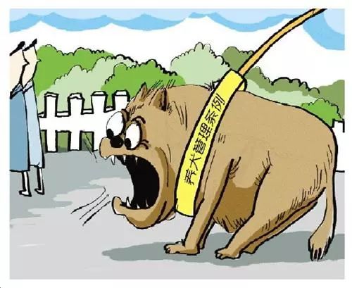 衢州犬类管理出新规严管区域遛犬时间禁养种类看进来